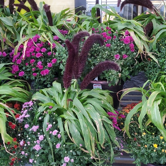 Meet your Posher, Kathleen - Picture 2 of 2